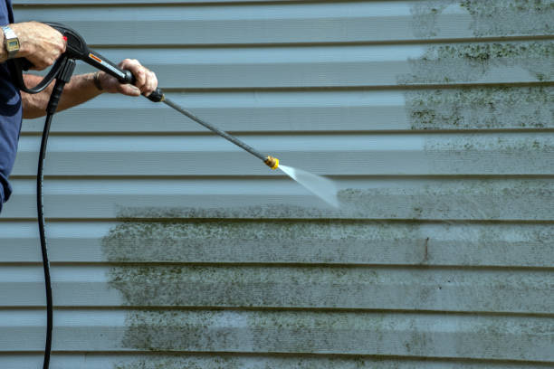 Best Building Exterior Washing  in Robbinsdale, MN